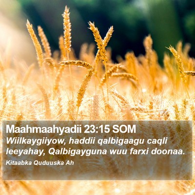 Maahmaahyadii 23:15 SOM Bible Verse Image