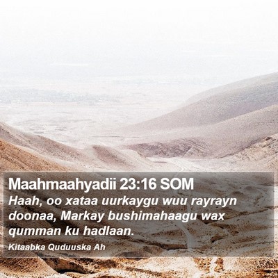 Maahmaahyadii 23:16 SOM Bible Verse Image