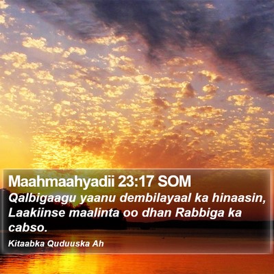 Maahmaahyadii 23:17 SOM Bible Verse Image