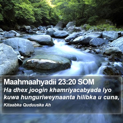 Maahmaahyadii 23:20 SOM Bible Verse Image