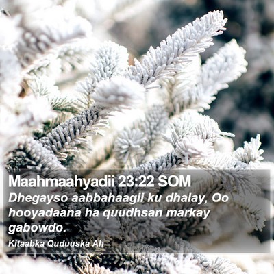 Maahmaahyadii 23:22 SOM Bible Verse Image