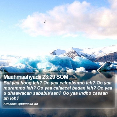 Maahmaahyadii 23:29 SOM Bible Verse Image