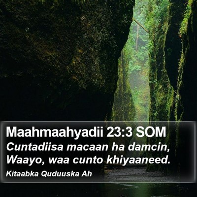 Maahmaahyadii 23:3 SOM Bible Verse Image