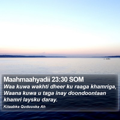 Maahmaahyadii 23:30 SOM Bible Verse Image
