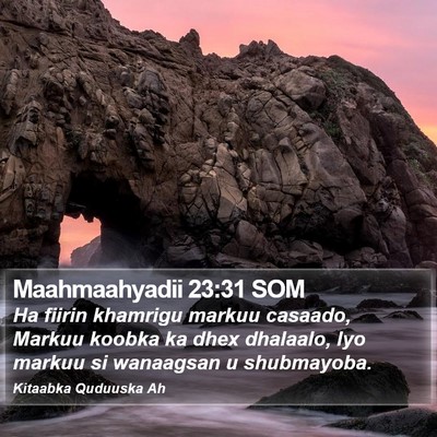 Maahmaahyadii 23:31 SOM Bible Verse Image