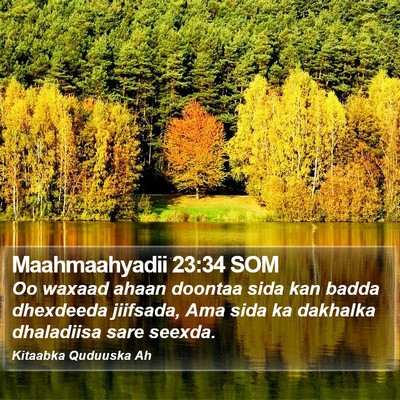 Maahmaahyadii 23:34 SOM Bible Verse Image