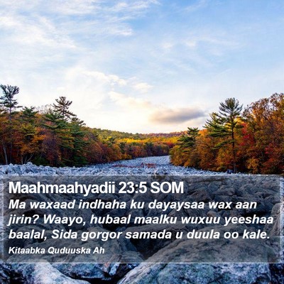 Maahmaahyadii 23:5 SOM Bible Verse Image