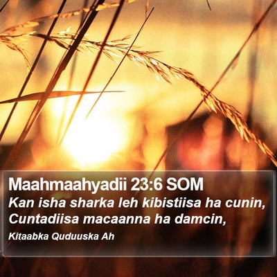 Maahmaahyadii 23:6 SOM Bible Verse Image