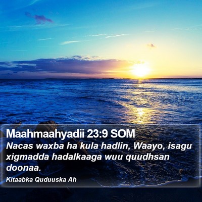 Maahmaahyadii 23:9 SOM Bible Verse Image