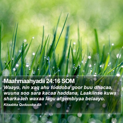 Maahmaahyadii 24:16 SOM Bible Verse Image