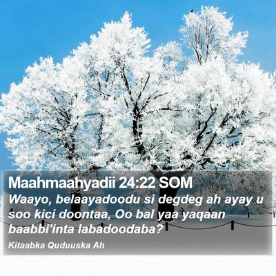Maahmaahyadii 24:22 SOM Bible Verse Image