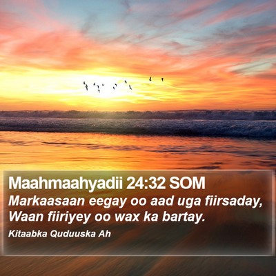 Maahmaahyadii 24:32 SOM Bible Verse Image