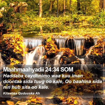 Maahmaahyadii 24:34 SOM Bible Verse Image