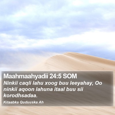 Maahmaahyadii 24:5 SOM Bible Verse Image