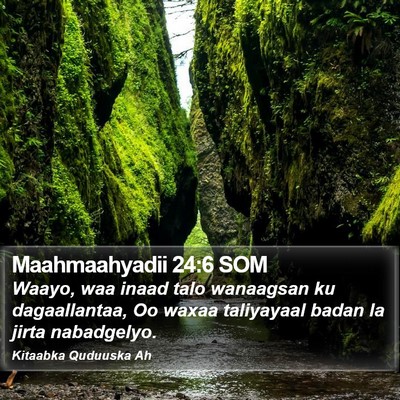 Maahmaahyadii 24:6 SOM Bible Verse Image