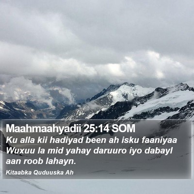 Maahmaahyadii 25:14 SOM Bible Verse Image