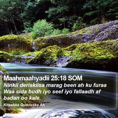 Maahmaahyadii 25:18 SOM Bible Verse Image