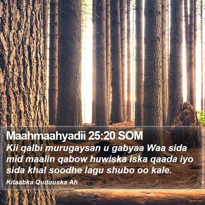Maahmaahyadii 25:20 SOM Bible Verse Image
