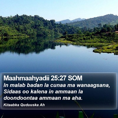 Maahmaahyadii 25:27 SOM Bible Verse Image