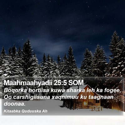 Maahmaahyadii 25:5 SOM Bible Verse Image