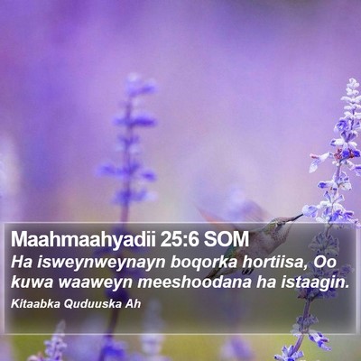 Maahmaahyadii 25:6 SOM Bible Verse Image