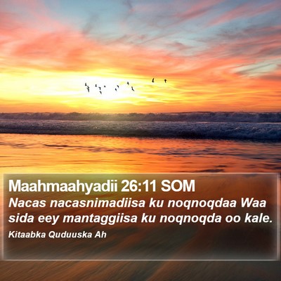 Maahmaahyadii 26:11 SOM Bible Verse Image
