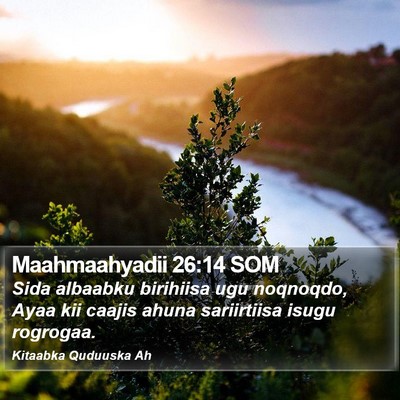 Maahmaahyadii 26:14 SOM Bible Verse Image