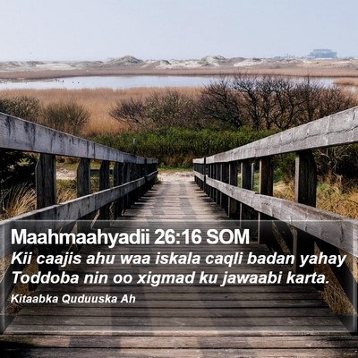 Maahmaahyadii 26:16 SOM Bible Verse Image