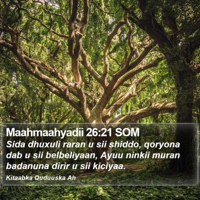 Maahmaahyadii 26:21 SOM Bible Verse Image