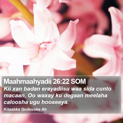 Maahmaahyadii 26:22 SOM Bible Verse Image