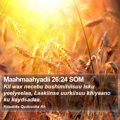 Maahmaahyadii 26:24 SOM Bible Verse Image