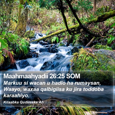 Maahmaahyadii 26:25 SOM Bible Verse Image