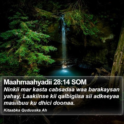 Maahmaahyadii 28:14 SOM Bible Verse Image