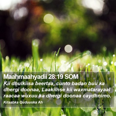 Maahmaahyadii 28:19 SOM Bible Verse Image