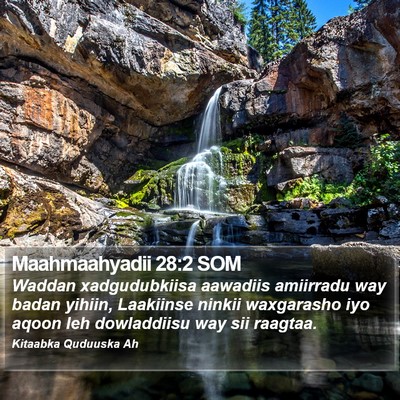 Maahmaahyadii 28:2 SOM Bible Verse Image
