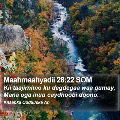 Maahmaahyadii 28:22 SOM Bible Verse Image
