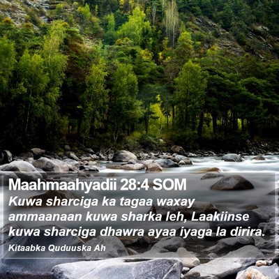 Maahmaahyadii 28:4 SOM Bible Verse Image