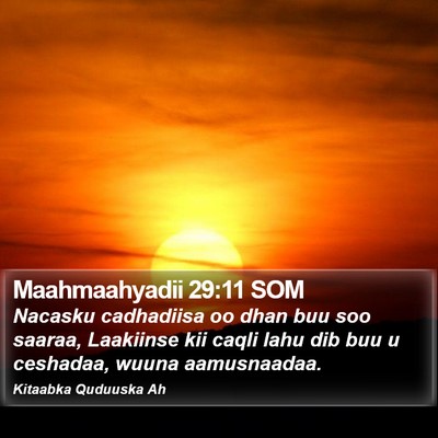 Maahmaahyadii 29:11 SOM Bible Verse Image