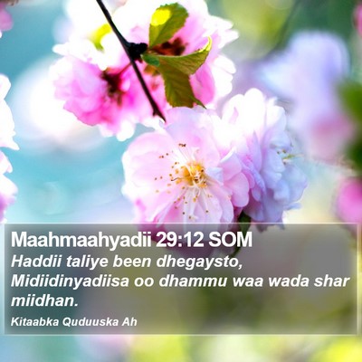 Maahmaahyadii 29:12 SOM Bible Verse Image