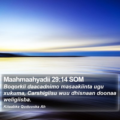 Maahmaahyadii 29:14 SOM Bible Verse Image