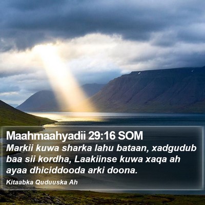 Maahmaahyadii 29:16 SOM Bible Verse Image