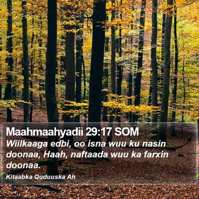 Maahmaahyadii 29:17 SOM Bible Verse Image