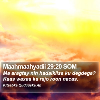 Maahmaahyadii 29:20 SOM Bible Verse Image
