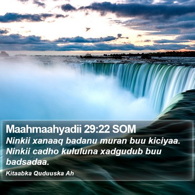 Maahmaahyadii 29:22 SOM Bible Verse Image