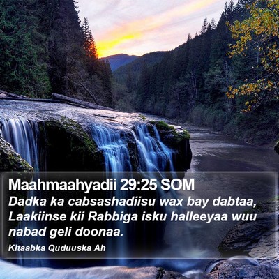 Maahmaahyadii 29:25 SOM Bible Verse Image
