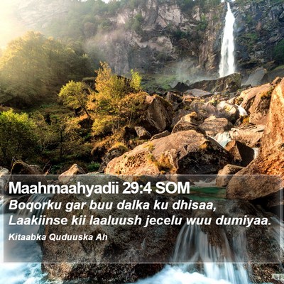 Maahmaahyadii 29:4 SOM Bible Verse Image