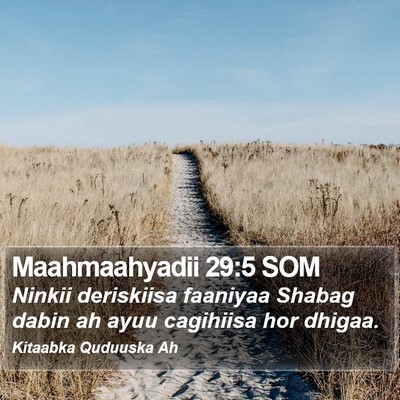 Maahmaahyadii 29:5 SOM Bible Verse Image