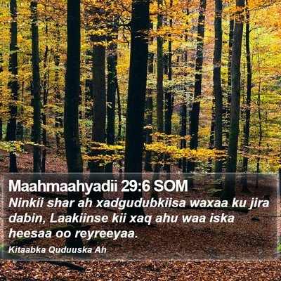 Maahmaahyadii 29:6 SOM Bible Verse Image