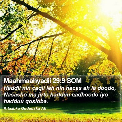 Maahmaahyadii 29:9 SOM Bible Verse Image