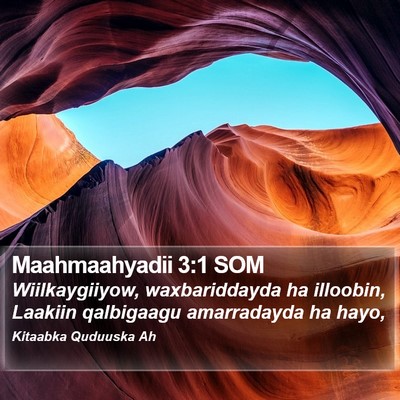 Maahmaahyadii 3:1 SOM Bible Verse Image